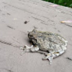 Meet your Posher, Garrett